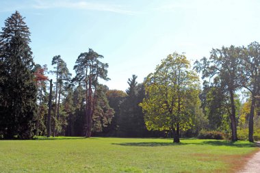 Sonbahar park 