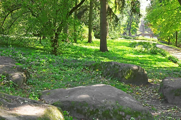 Park Oleksandriya Biała Cerkiew Ukraina — Zdjęcie stockowe
