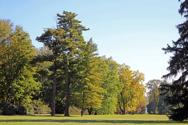 Parco Autunnale Oleksandriya Bila Tserkva Ucraina — Foto Stock