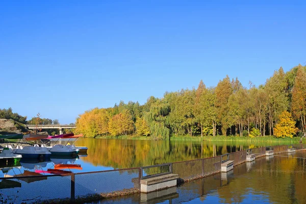 Vista Fiume Nel Parco Buki Regione Kiev Ucraina — Foto Stock