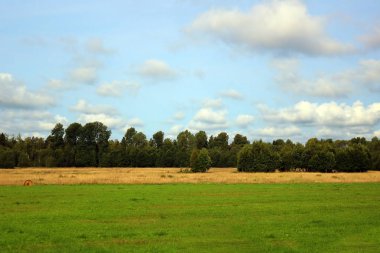 Ağustos, Estonya sahasında tarım çiftliği