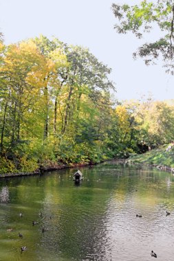 Sonbahar Park Bila Tserkva, Ukrayna 