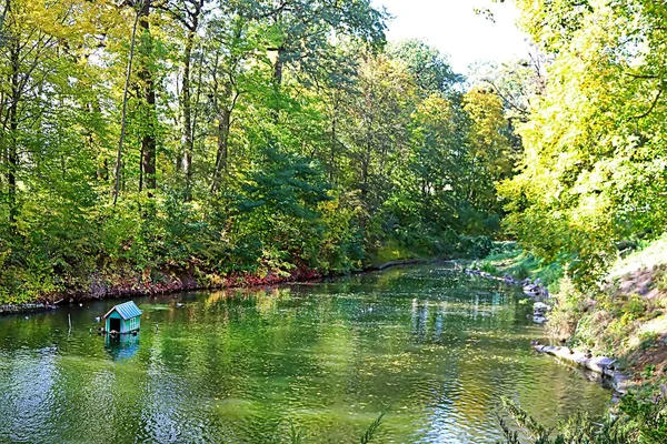 秋の公園 オレクサンドリーヤ ビーラ ツェールクヴァ ウクライナでアヒルの池 — ストック写真