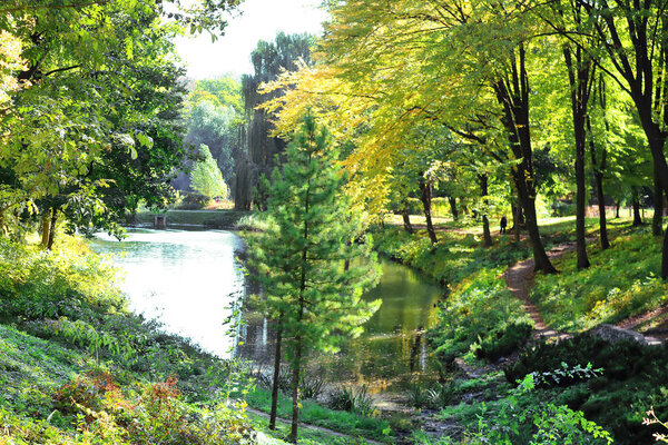Pond with ducks in autumn park 