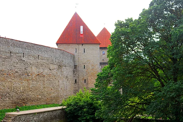 Murallas Fortaleza Tallin Estonia Las Murallas Las Muchas Puertas Siguen — Foto de Stock