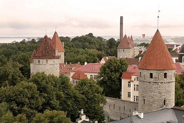 Stadtmauer Der Altstadt Von Tallinn Luftaufnahme Der Skyline Von Tallinn — Stockfoto