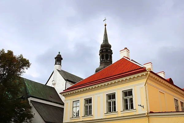 Nézet Részének Szent Mária Katedrális Tallinn Észtország — Stock Fotó