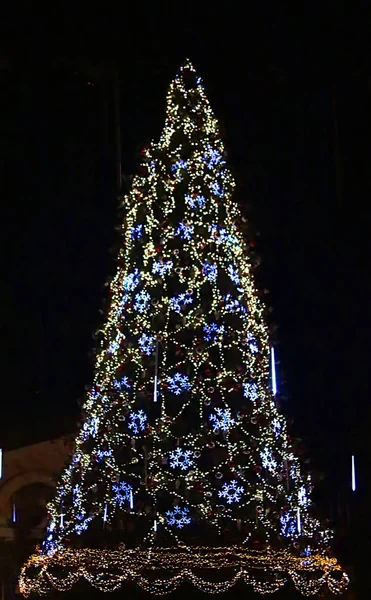 Smukt Skinnende Juletræ - Stock-foto