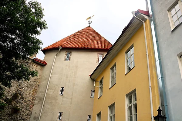 Pikk Yalg Gate Tower Långa Benets Porttorn Fästning Väggen Tallinn — Stockfoto