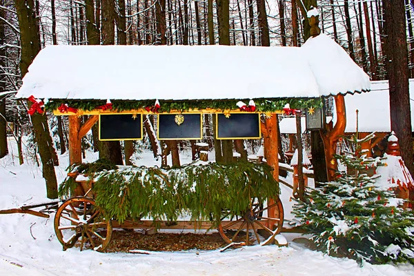 Wagon Fir Branches Boards Prices Center Zakopane Winter Poland — Stock Photo, Image