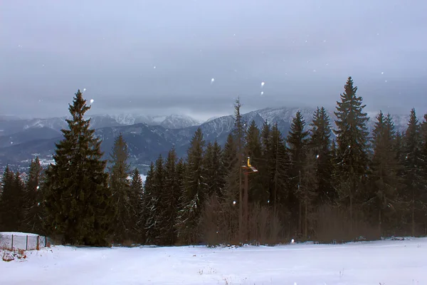 Uitzicht Vanaf Gubalowka 126 Tatra Bergen Sneeuwt Dag Zakopane Poalnd — Stockfoto