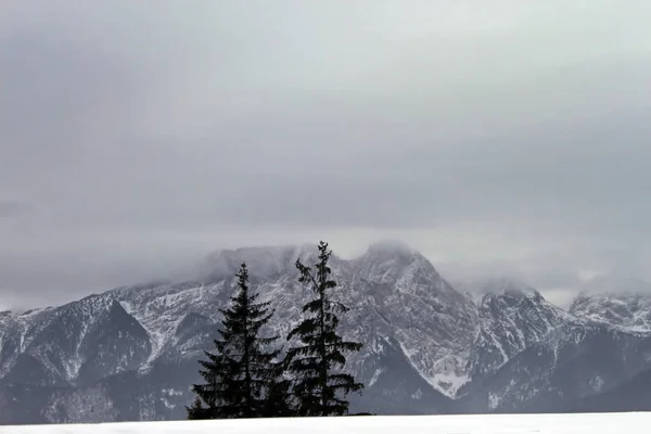 Uitzicht Vanaf Gubalowka 126 Tatra Bergen Zakopane Poalnd — Stockfoto
