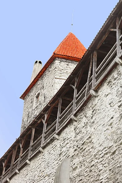 Башня Геллемана Старая Стена Таллинн Эстония — стоковое фото
