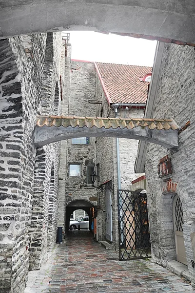 Tallinn Estonia August 2018 Catherine Lane Short Lane 135 Historic — Stock Photo, Image