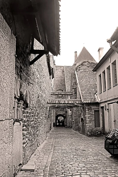 Old Town, Tallinn, Estonya tarihi bölgesinde kule Catherine Lane (135 m) ve Hellemann görünümünü