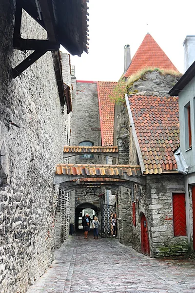 Tallinn Estonya Ağustos 2018 Old Town Tarihi Bölgesinde Kule Catherine — Stok fotoğraf