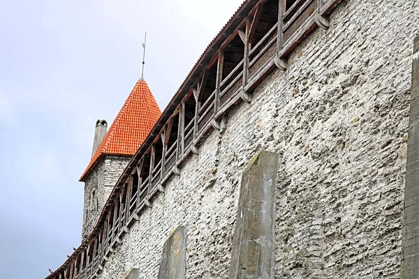 Torre Hellemann Viejo Muro Tallin Estonia —  Fotos de Stock