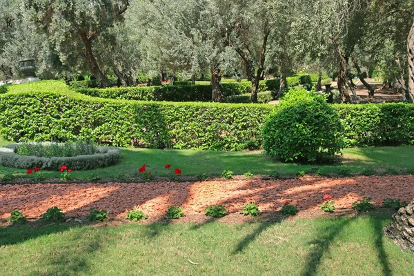 Bahai trädgårdar i Acre (Akko), Haifa, Israel — Stockfoto