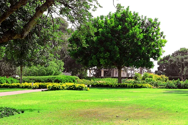 バロン エドモンド · ド · ロスチャイルド、Zichron Yaakov、イスラエルの記念庭園公園ラマト ・ ハナディヴ — ストック写真