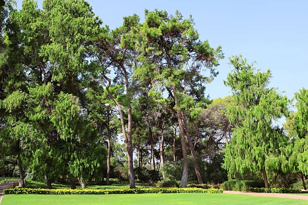 Parque de Ramat Hanadiv, Memorial Jardines del Barón Edmond de Rothschild, Zichron Yaakov, Israel —  Fotos de Stock