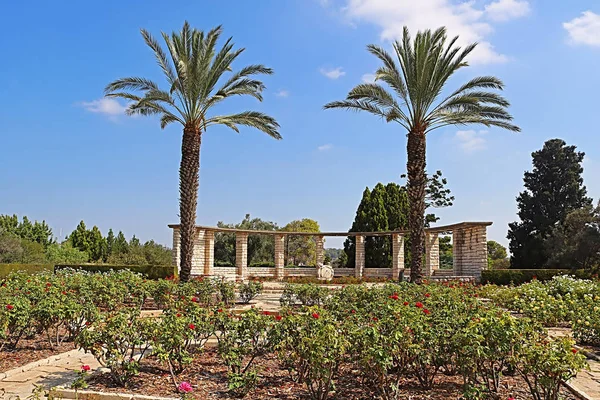 Rosengarten, Palmen und Sonnenuhr, Park Ramat Hanadiv, israel. der park ist eine familie gewölbe von baron edmond de rothschild (1845-1934) und baronin adelaide de rothschild (1853-1935)) — Stockfoto