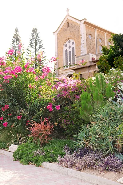 Monastero trappista Latrun in Israele — Foto Stock