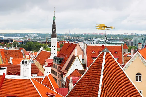 Paysage urbain de Tallinn avec tour de l'église Saint-Esprit et girouette à coq, Tallinn, Estonie — Photo