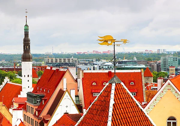 Városkép Tallinn Szent Szellem templom torony és a kakas Vane, Tallinn, Észtország — Stock Fotó