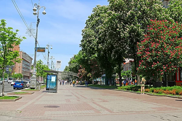 КИЕВ, УКРАИНА - 18 мая 2019 года: Цветущие каштаны и здание на улице Крещатик — стоковое фото