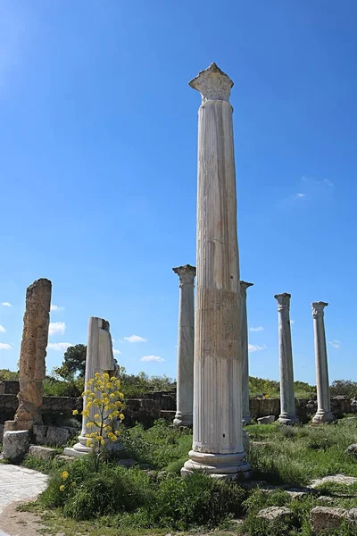 Римляни руїни міста Саламін, поблизу Фамагуста, Північного Кіпру — стокове фото