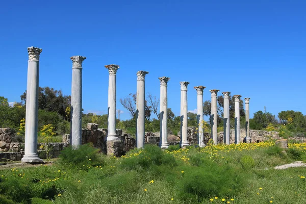 Οι Ρωμαίοι ερείπια από τη πόλη της Σαλαμίνας, κοντά στην Αμμόχωστο, Βόρεια Κύπρος — Φωτογραφία Αρχείου