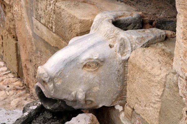 Ayia Napa manastırında boğa başı şeklinde antik çeşme, Ayia Napa, Kıbrıs — Stok fotoğraf