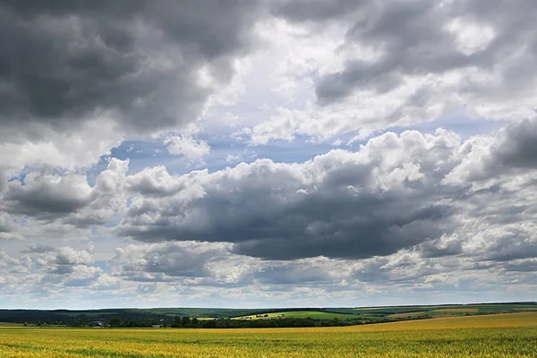 Countryside with wheat field and stormy sky — Stock Photo, Image