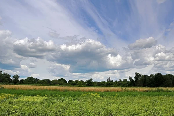 Countryside with fields and cloudy sky — Stock Photo, Image