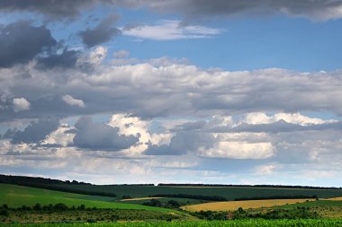Şeker pancarı alanı ve bulutlu gökyüzü ile Kırsal
