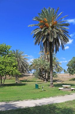 Avuç içi ve Akdeniz'de Ashkelon Milli Parkı, İsrail