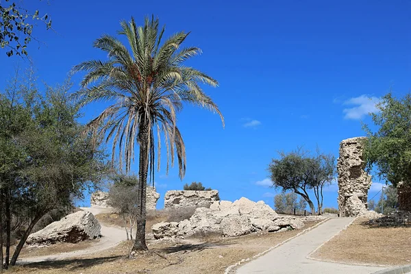 Carretera en parque y ruinas de la torre en el parque, Ashkelon, israele —  Fotos de Stock