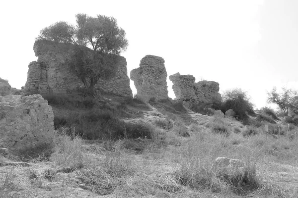 Ruins of wall in the park, Ashkelon, Israel — Stock Photo, Image