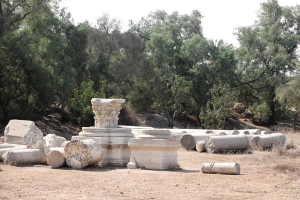 Parktaki Roma harabeleri, Ashkelon, İsrail — Stok fotoğraf