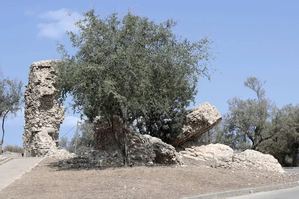 Ruins of the tover in the park, Ashkelon, Israel — Stock Photo, Image