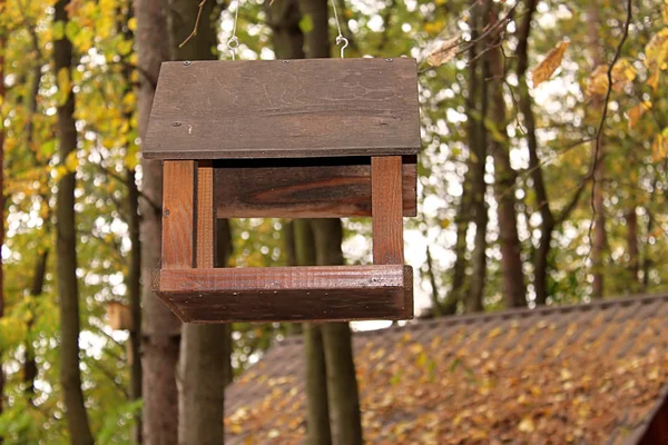 Alimentatore di uccelli in legno nel parco autunnale — Foto Stock