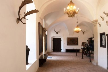 Casta, Slovakya - 31 Ağustos 2019: Orta Çağ Cerveny Kamen (Red Stown) Kalesi'nin içi. Duvarlarda hayvan boynuzları dekorasyonu ile Salon