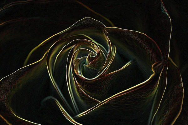 Skeleton rose flower. Digital art. Effect of golden rose. Place for text