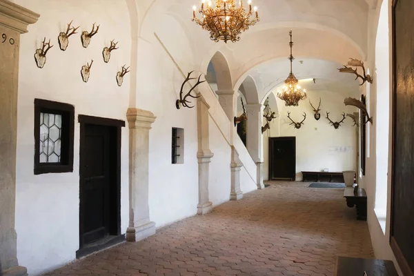 CASTA, ESLOVAQUIA - 31 de agosto de 2019: Interior del Castillo medieval de Cerveny Kamen. Salón con decoración de cuernos de animales en las paredes — Foto de Stock