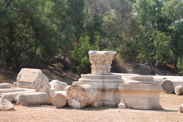 Ruiny rzymskie w parku, Ashkelon, Izrael — Zdjęcie stockowe