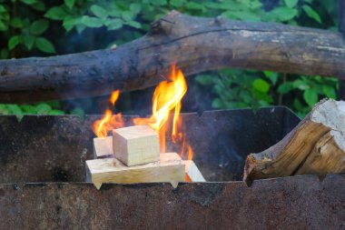 Yakacak odun brazier 'da yanıyor. Yaz barbeküsü konsepti