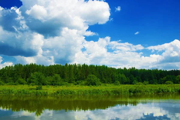 Bella Vista Sulla Foresta Vicino Fiume Estate Riflessione Nell Acqua — Foto Stock