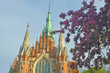 View on the St. Joseph Church with cherry blossom, Krakow, Poland