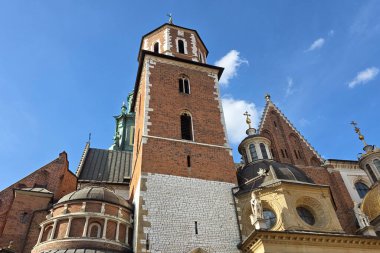 Wawel Katedrali, Krakow, Polonya