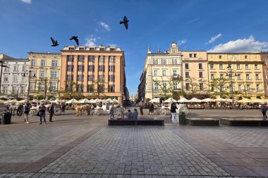 Krakow, Poland - April 23, 2025: View on the buildings on the main Market Square, Rynek Glowny and pigeons